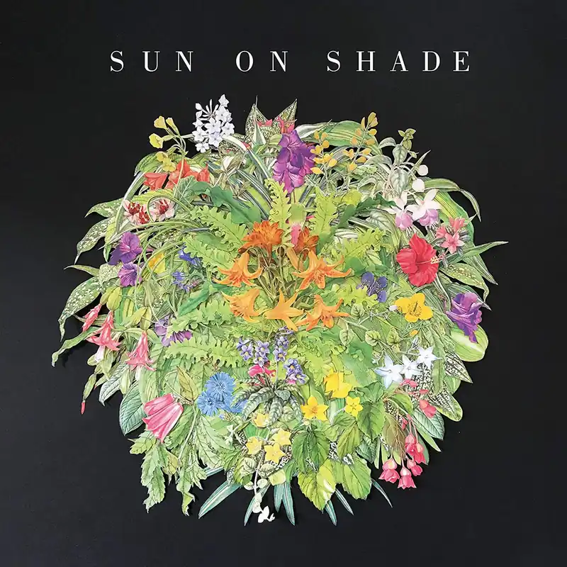 Low Price Heath Fogg ‎(Alabama Shakes) – Sun On Shade - New LP Record 2020 ATO USA Vinyl - Rock