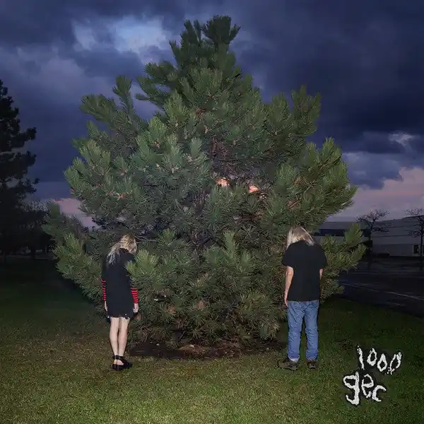 100 Gecs - 1000 Gecs (2019) - New LP Record 2023 Dog Show Atlantic Vinyl - Hyperpop / Dance-pop / Deconstructed Club Today Only