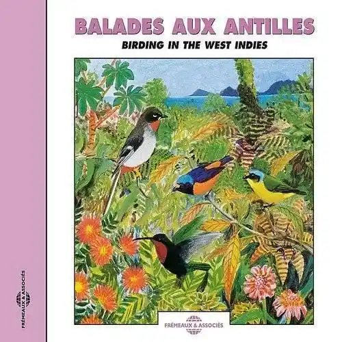 Various Artists - Birding in the West-Indies