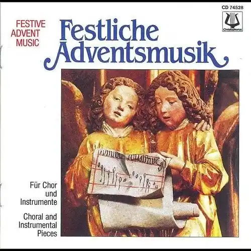 Various Artists - Festive Christmas Music