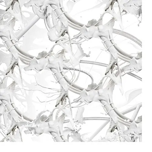 Ziur U Feel Anything | Silver Platters Best Seller
