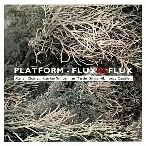 Worldwide Shipping Platform - Flux Reflux